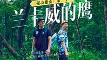 统筹金融要素支撑和安全稳定 助力高质量发展走在前列